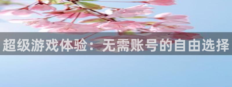 超级游戏体验：无需账号的自由选择
