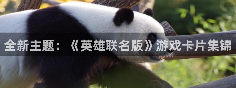 一竞技官网下载：全新主题：《英雄联名版》游戏卡片集锦