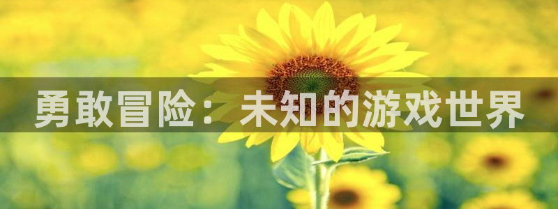 一竞技官网下载安装