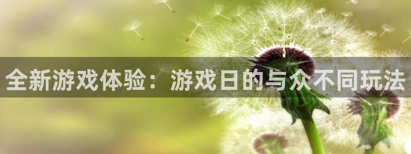 一竞技DOTA2选手Saksa