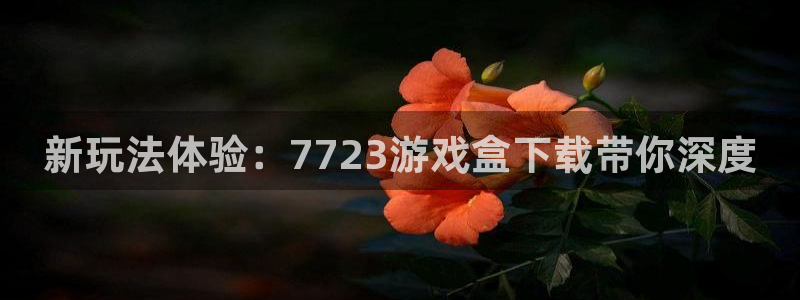 一竞技官网导航,一竞技测速站