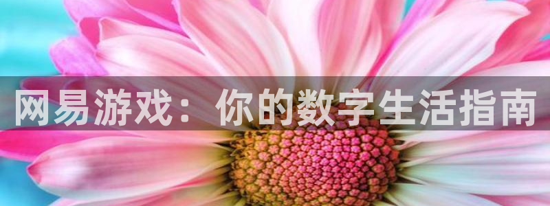 一竞技平台