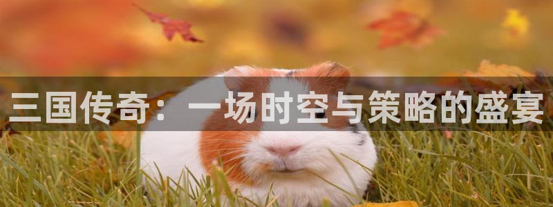 一竞技官网下载