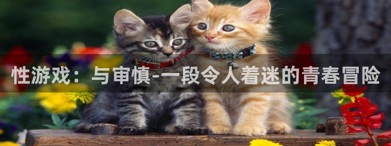 一竞技官网导航,一竞技测速站