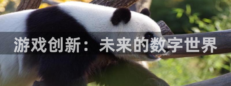 一竞技游戏登录入口：游戏创新：未来的数字世界