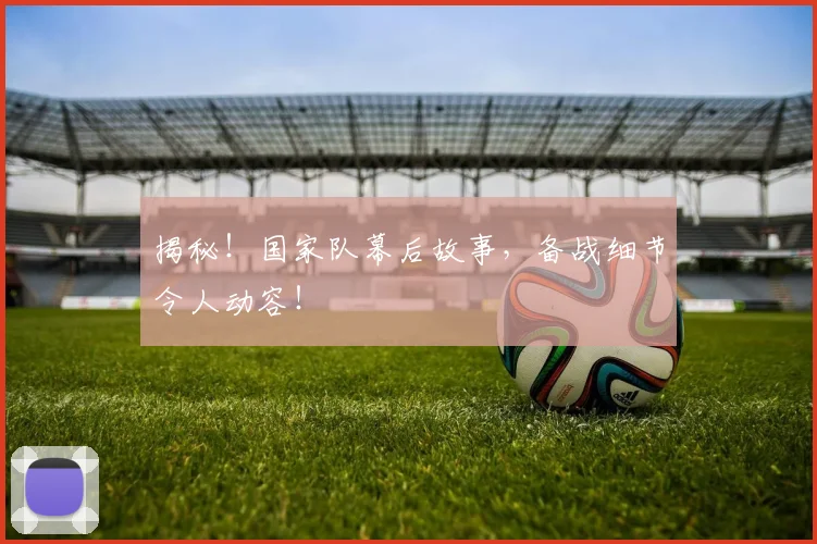 揭秘！国家队幕后故事，备战细节令人动容！